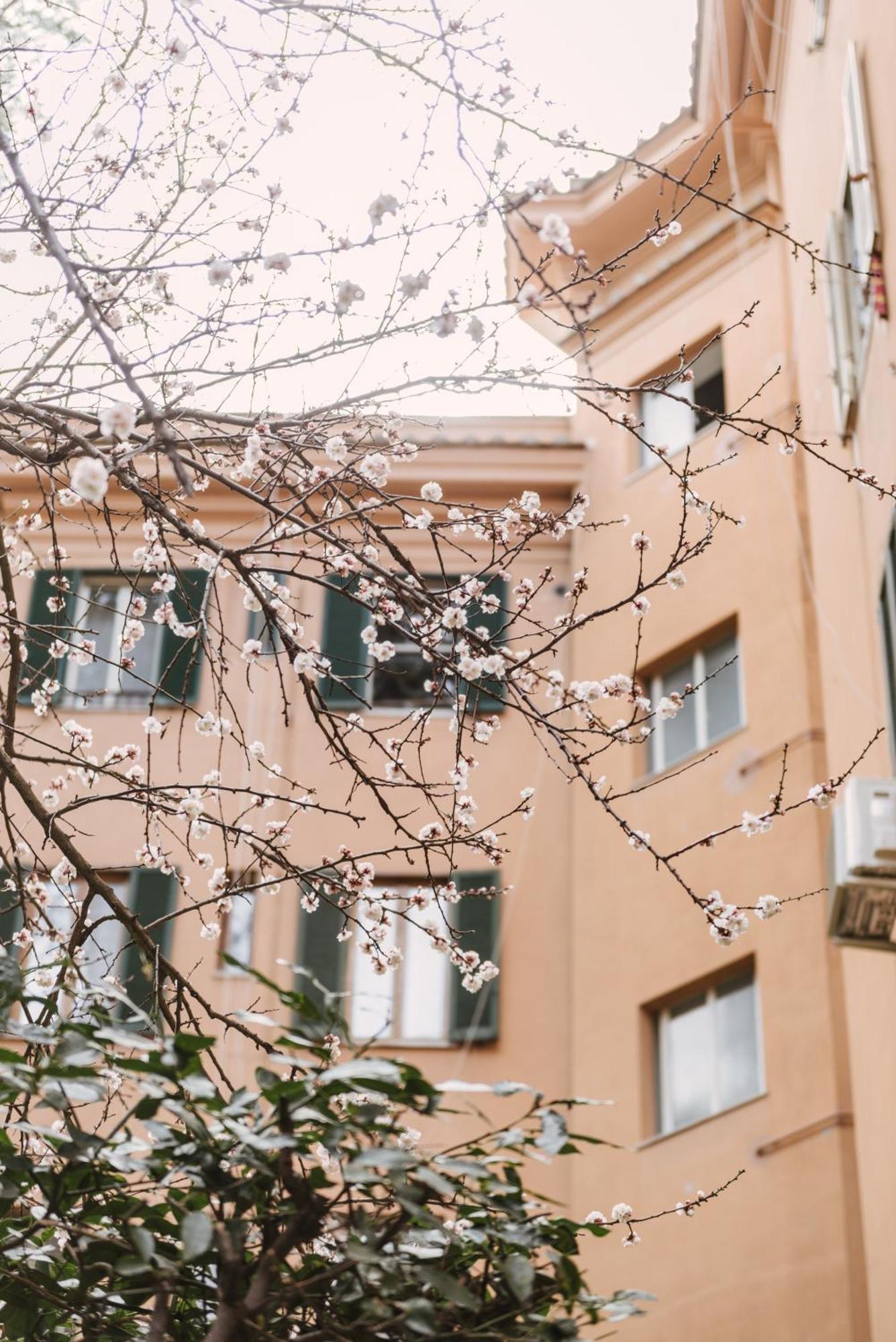 Casa Riva 1920 Leilighet Roma Eksteriør bilde